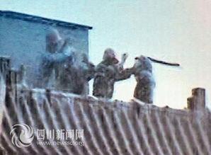 四川成都火火爆料事件视频,惊心动魄的瞬间回顾 第2张 四川成都火火爆料事件视频,惊心动魄的瞬间回顾 第2张