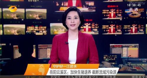 湖南新闻联播爆料电话,揭开事件真相的神秘之门 第2张 湖南新闻联播爆料电话,揭开事件真相的神秘之门 第2张