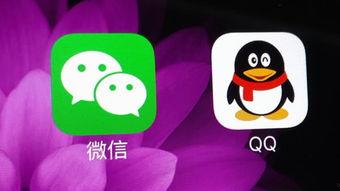 qq吃瓜群免费入口,畅享热门话题，轻松获取资讯