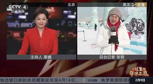中央13直播在线观看,实时掌握权威资讯，一键在线观看