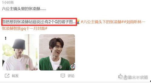 圈内人爆料王鹤棣白鹿,圈内人爆料恋情升温 第3张 圈内人爆料王鹤棣白鹿,圈内人爆料恋情升温 第3张