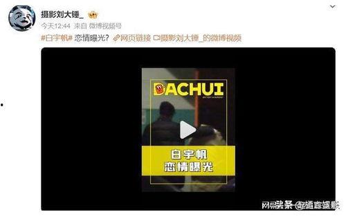 刘大锤爆料白宇视频大全  第3张