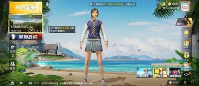 吃鸡最新玩法爆料大全下载,全方位攻略与下载指南  第2张