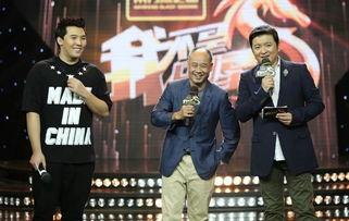 中国李宁爆料视频大全最新,揭秘运动传奇背后的故事  第3张