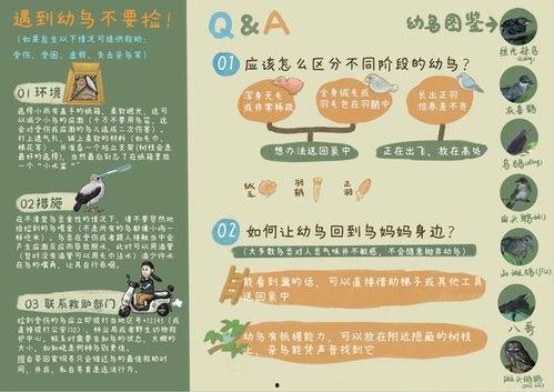 广州市新闻爆料平台下载