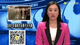 中山市东凤镇新闻爆料,聚焦社区动态与民生热点