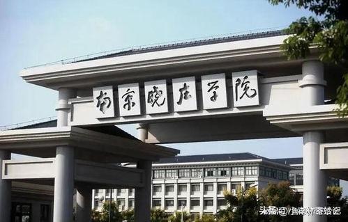 南京晓庄学院爆料事件视频,视频揭露校园内幕