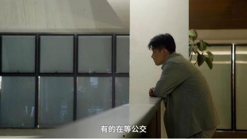 辛有志燕窝爆料人视频,揭秘行业黑幕，揭秘燕窝真相  第3张