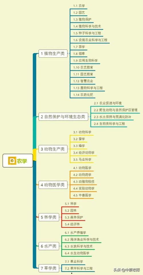 元宵夺宝爆料视频大全集,揭秘视频大全集精彩瞬间 第2张 元宵夺宝爆料视频大全集,揭秘视频大全集精彩瞬间 第2张