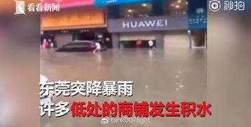 开封外卖员爆料黑心店视频,开封外卖员曝光黑心店惊人内幕 第3张 开封外卖员爆料黑心店视频,开封外卖员曝光黑心店惊人内幕 第3张