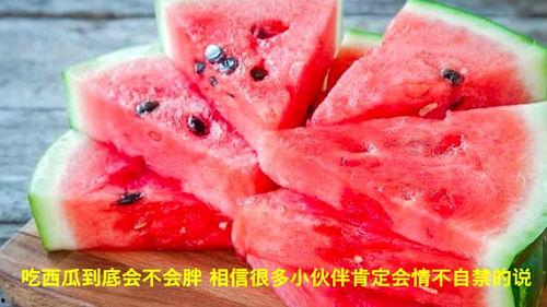 西瓜免费吃瓜视频,跟随视频一起体验西瓜免费吃瓜狂欢 第2张 西瓜免费吃瓜视频,跟随视频一起体验西瓜免费吃瓜狂欢 第2张