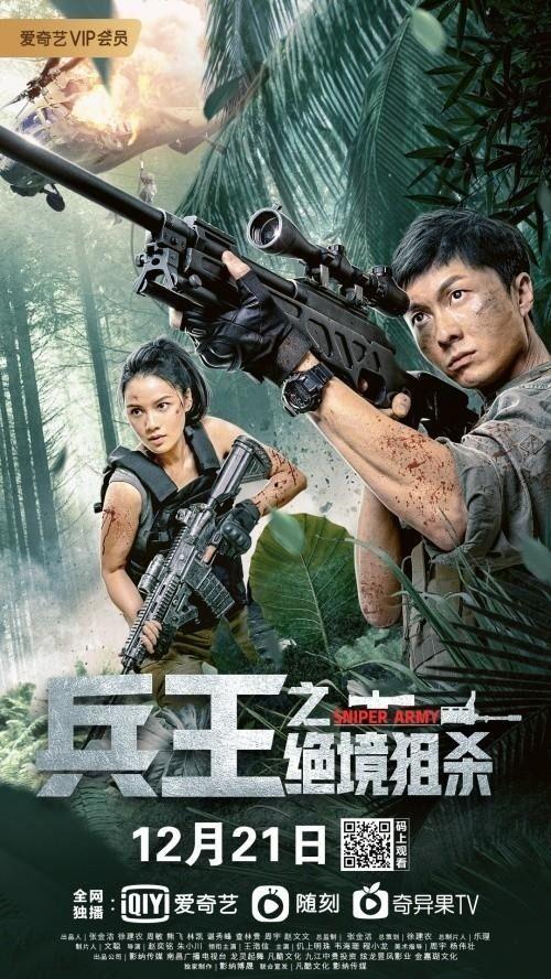 兵王电影在线观看,巅峰对决，热血征途  第3张