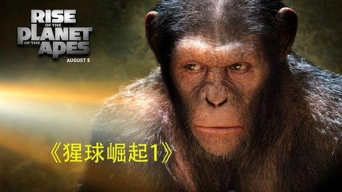 猩球觉醒在线观看,人类与猿类的未来对决