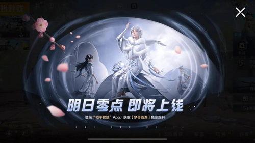 吃鸡衣服新爆料视频,时尚与实战并存，揭秘神秘战服细节  第3张