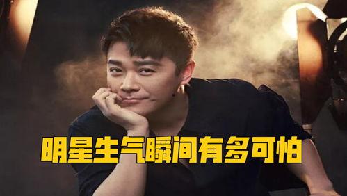天涯爆料刘家玲是谁啊视频,刘家玲身份之谜 第3张 天涯爆料刘家玲是谁啊视频,刘家玲身份之谜 第3张