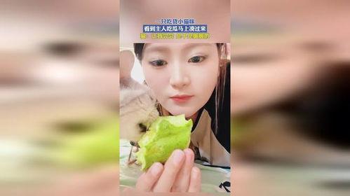 奶咪 吃瓜视频免费观看,免费畅享娱乐盛宴