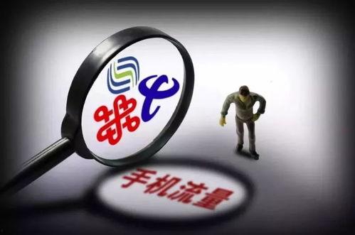 今日头条号长春爆料电话,一通电话,见证城市脉动 第3张 今日头条号长春爆料电话,一通电话,见证城市脉动 第3张