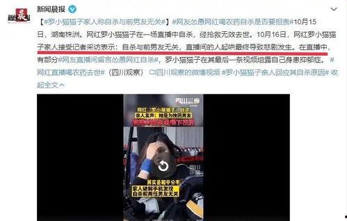 吉林爆料偷东西案件视频,监控直击惊心动魄瞬间 第3张 吉林爆料偷东西案件视频,监控直击惊心动魄瞬间 第3张