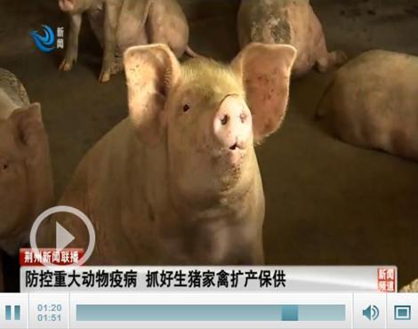 今日动物爆料新闻最新,今日动物爆料新闻揭秘  第3张