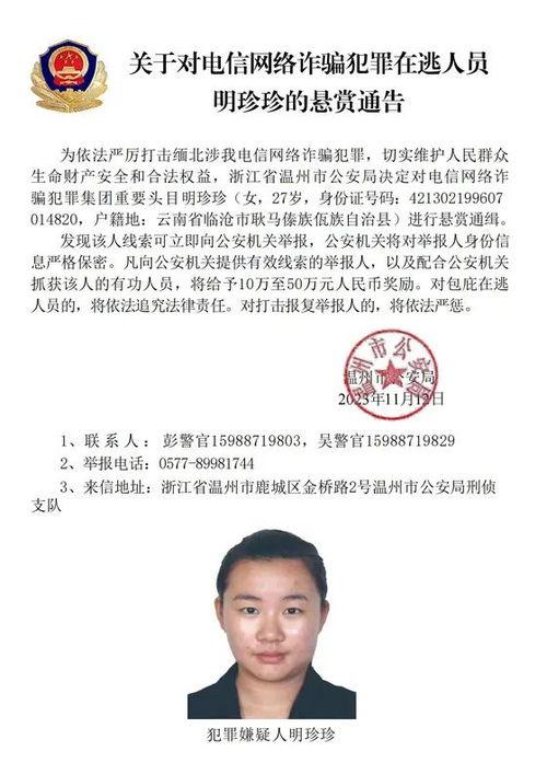 缅北最新爆料消息今天视频,揭秘神秘势力动态  第3张