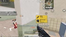 和平精英最新爆料 旭升,和平精英新势力崭露头角 第2张 和平精英最新爆料 旭升,和平精英新势力崭露头角 第2张