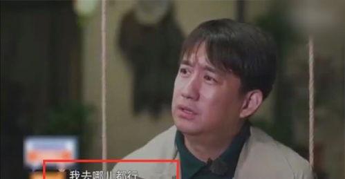 黄磊爆料别人视频大全最新,最新爆料视频大盘点