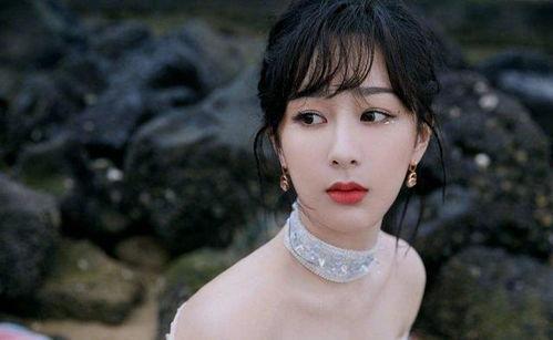 杨紫最新爆料小说推荐,揭秘小说世界，跟随杨紫探寻未知故事  第2张