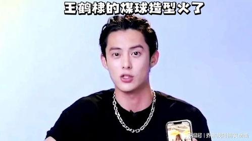 网友爆料王鹤棣视频播放,颜值与演技并存