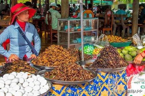 柬埔寨吃瓜最新事件爆料,揭秘背后惊人真相