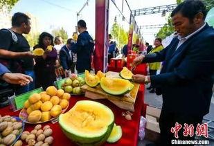 柬埔寨吃瓜最新事件爆料,揭秘背后惊人真相 第3张 柬埔寨吃瓜最新事件爆料,揭秘背后惊人真相 第3张