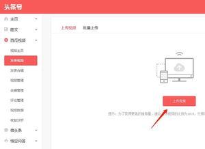 怎样爆料头条号赚钱呢视频,如何通过“怎样爆料头条号赚钱”视频实现收益最大化  第3张