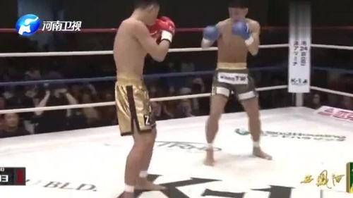 崇阳最新爆料新闻视频,视频揭露惊人真相，事件详情曝光！