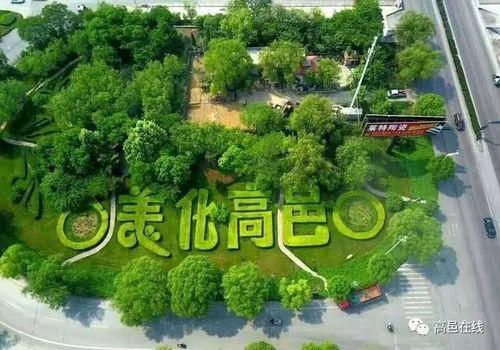 石家庄高邑爆料事件最新,揭秘石家庄最新社会热点背后的真相