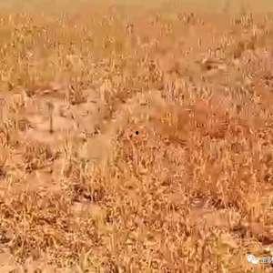 石家庄高邑爆料事件最新,揭秘石家庄最新社会热点背后的真相 第3张 石家庄高邑爆料事件最新,揭秘石家庄最新社会热点背后的真相 第3张