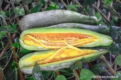 网红吃瓜微信号大全最新,带你领略网络红人的最新动态