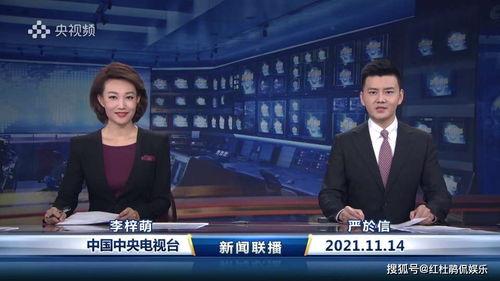 新闻爆料口播视频大全免费观看,免费观看，尽享最新资讯盛宴  第2张