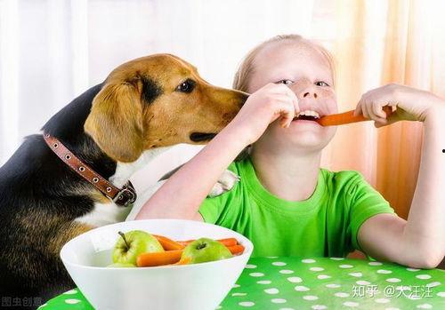 娱乐吃瓜菌狗狗,揭秘娱乐圈那些不为人知的幕后故事  第3张