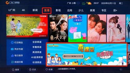 大老师直播爆料视频下载,视频内容深度解析  第2张