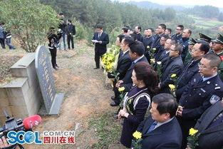 兰辉 在线观看,揭秘在线观看的精彩瞬间  第2张