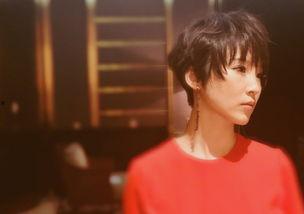 京城宝哥爆料视频大全,视频大全精彩内容抢先看 第3张 京城宝哥爆料视频大全,视频大全精彩内容抢先看 第3张