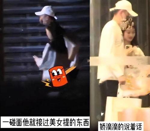 邵晴爆料张嘉倪视频,揭秘背后真相与情感纠葛  第3张