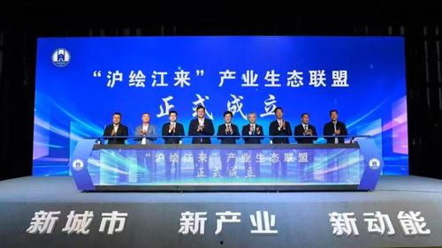 爆料盛泽新闻报道视频,独家爆料，揭秘视频背后的惊人真相  第3张