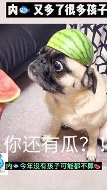 娱乐圈子吃瓜群众是谁,揭秘“吃瓜群众”背后的神秘力量 第3张 娱乐圈子吃瓜群众是谁,揭秘“吃瓜群众”背后的神秘力量 第3张