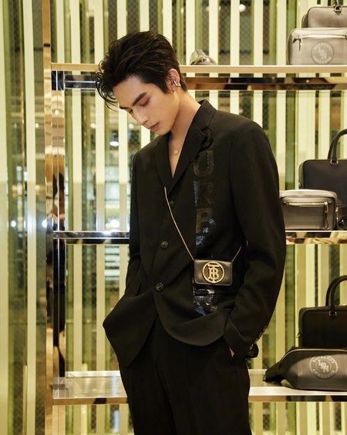 任嘉伦宋威龙最新爆料,揭秘演艺圈幕后故事与心路历程  第3张