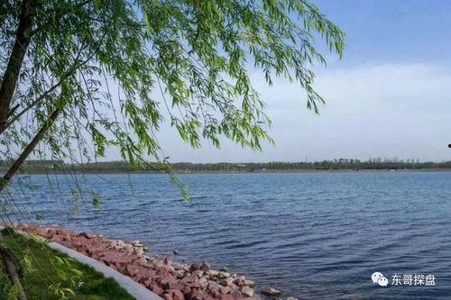 成都白沙湖最新爆料消息,揭秘神秘项目与周边发展动态 第3张 成都白沙湖最新爆料消息,揭秘神秘项目与周边发展动态 第3张