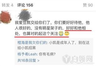 爆料娱乐明星名单表,明星名单大揭秘