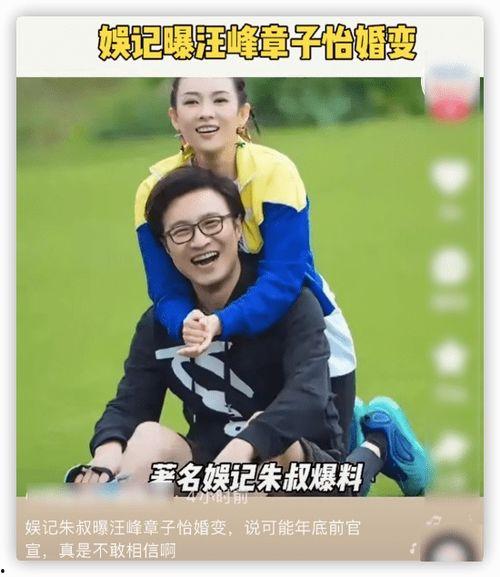 汪峰娱记爆料视频播放,揭秘娱乐圈幕后真相  第3张