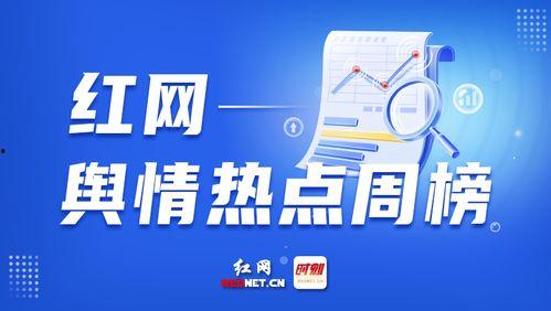 如何 爆料 新闻,揭秘新闻爆料背后的真相与技巧