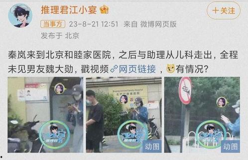 秦岚现身爆料视频在线观看,精彩瞬间在线观看