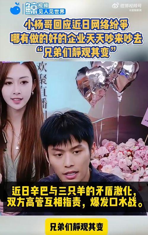 三只羊最新爆料视频播放,幕后真相大曝光! 第3张 三只羊最新爆料视频播放,幕后真相大曝光! 第3张